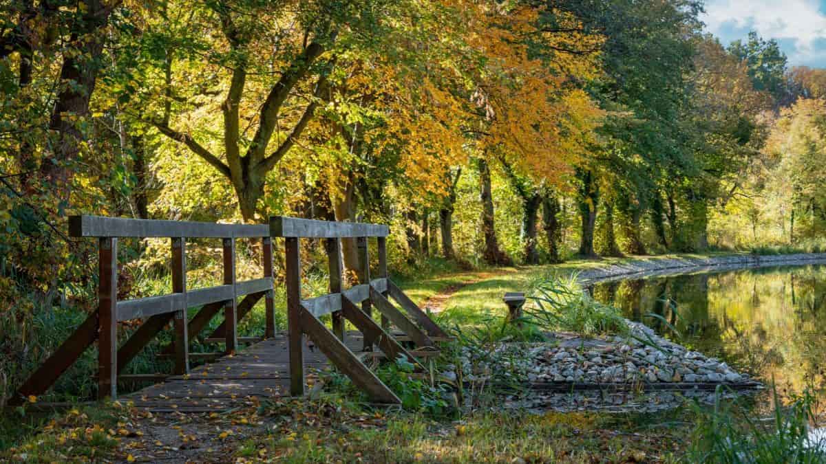 Geschenkidee für Gruppen - Naturpark