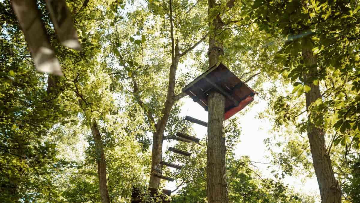 Klettergarten-Parkours im Wald