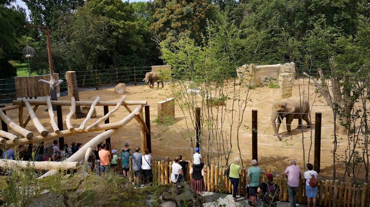 Geheimtipps für Ausflüge mit Kindern in Dresden