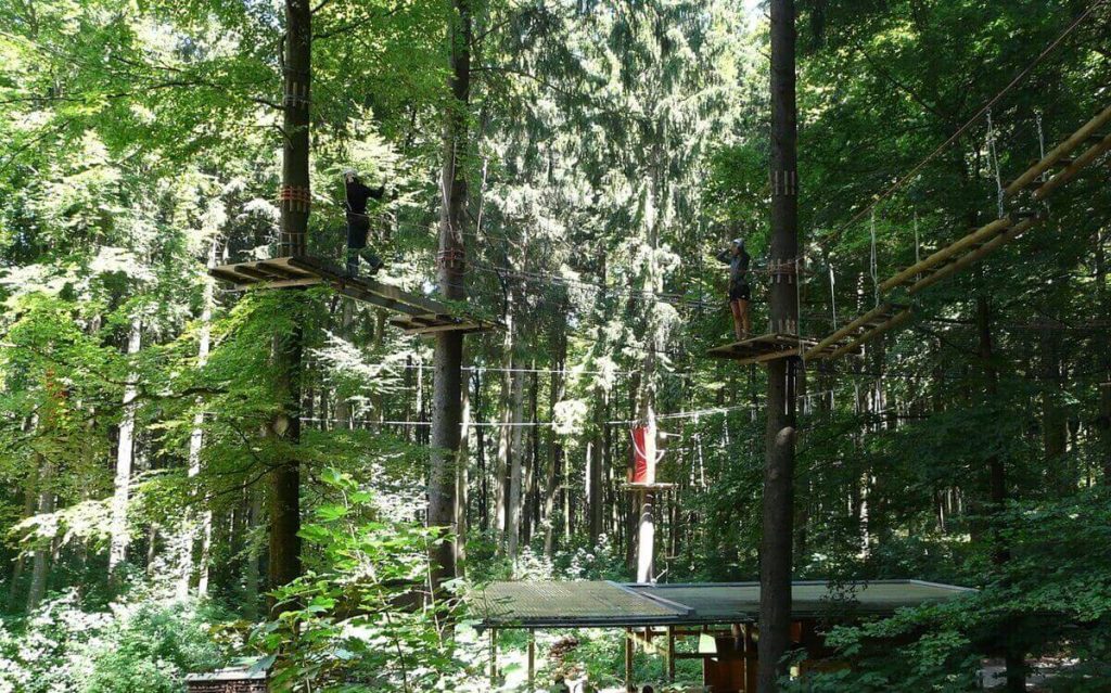 Klettergarten-Parkours im Wald
