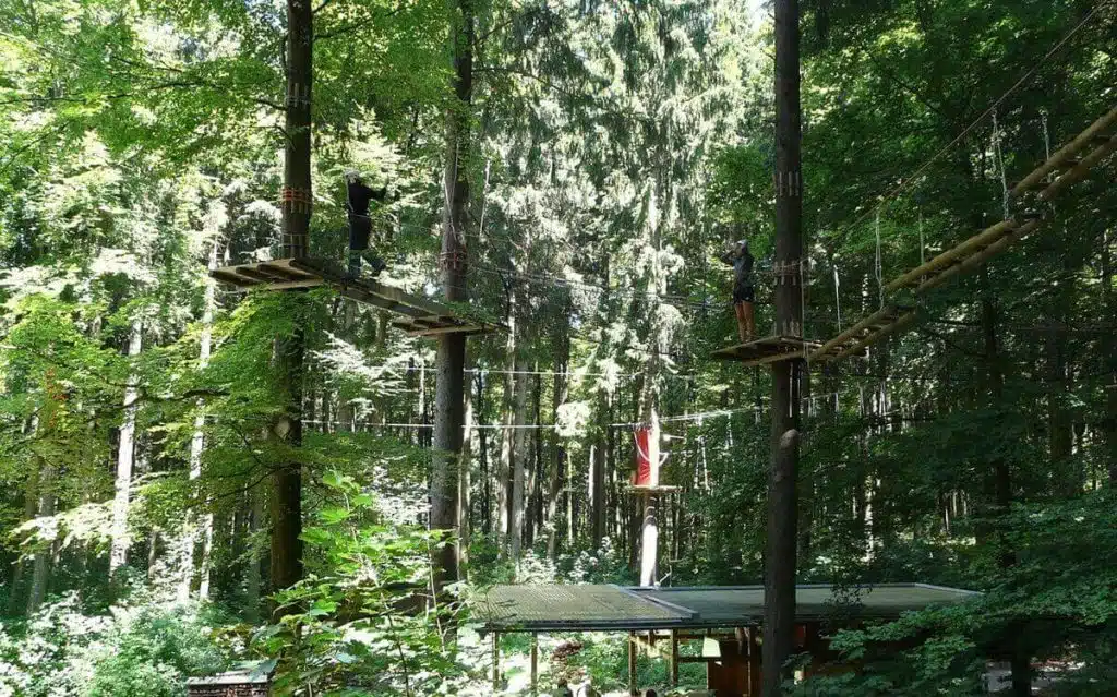 Klettergarten-Parkours im Wald
