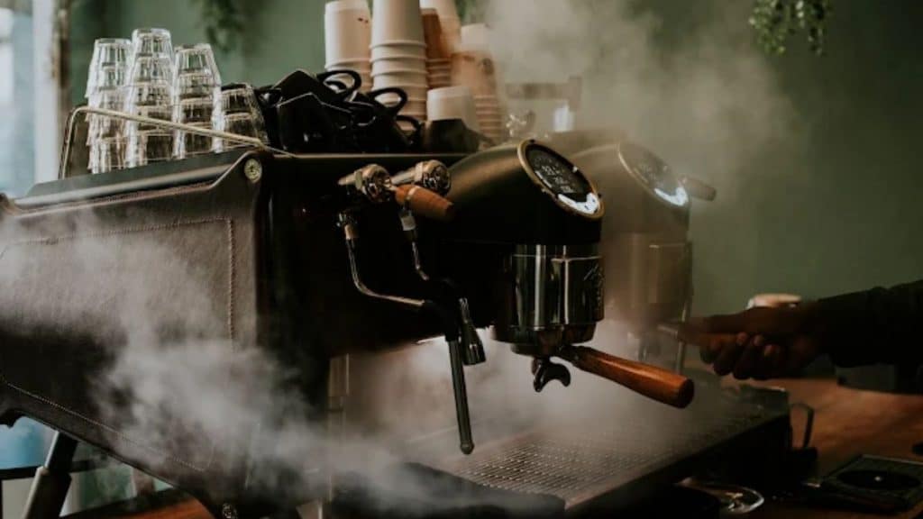 Roots Café Frankfurt