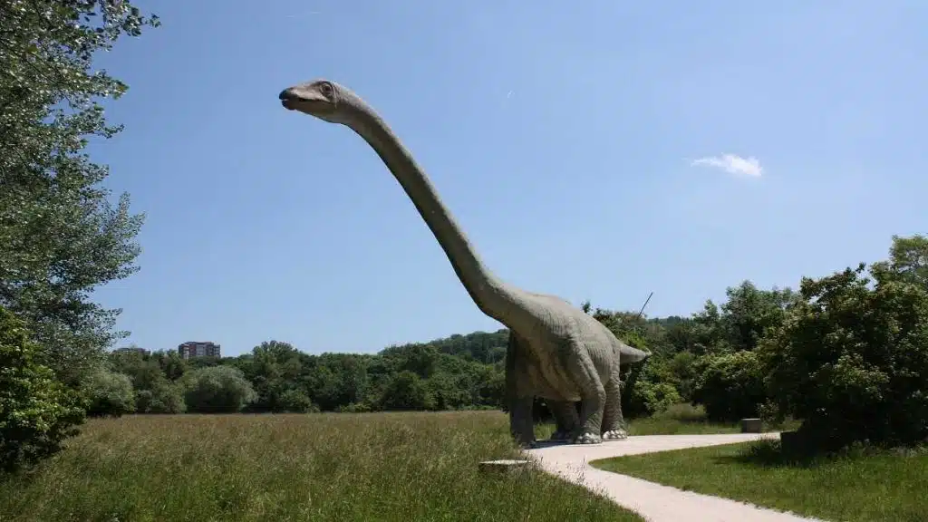 Park im Grünen
