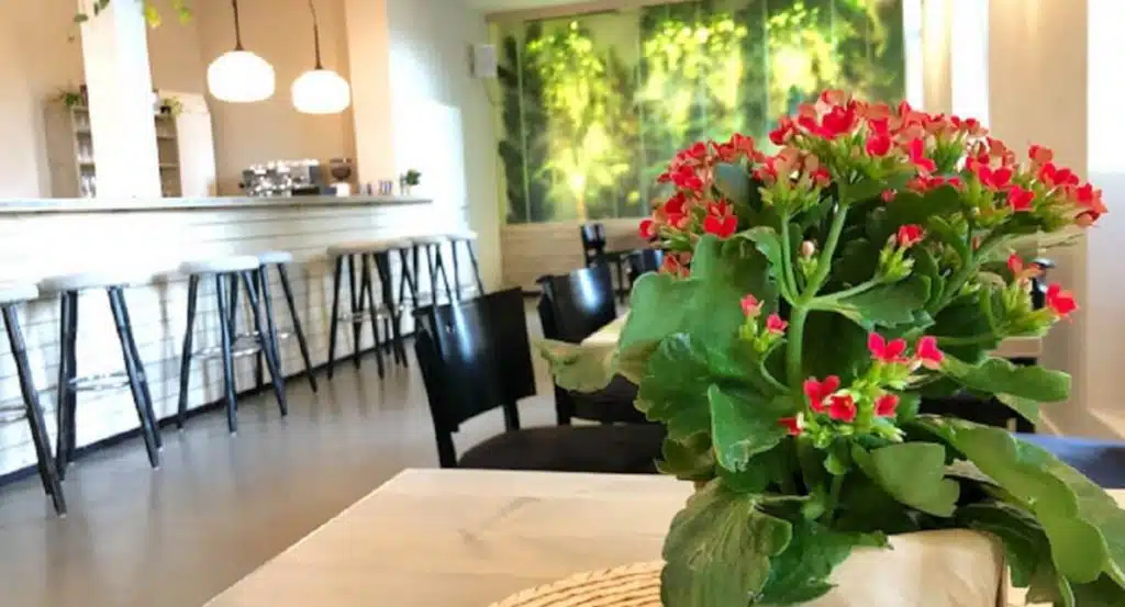 Schön Klar Café Mannheim