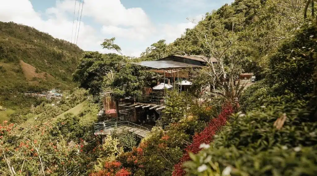 Lakeview Le Jardin