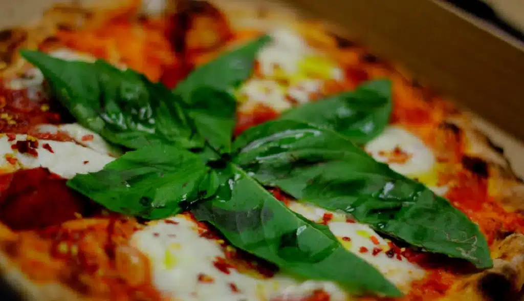 Pizzeria Ludica