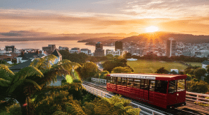 Wellington